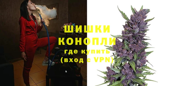 ПСИЛОЦИБИНОВЫЕ ГРИБЫ Осинники