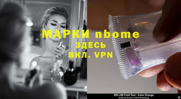 ПСИЛОЦИБИНОВЫЕ ГРИБЫ Осинники