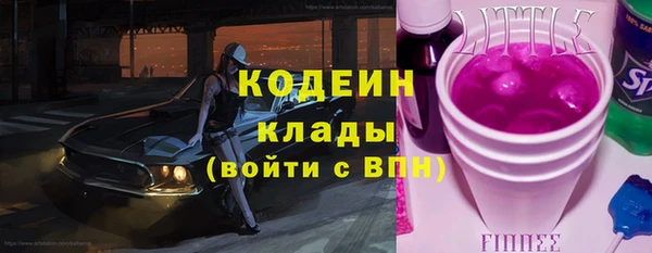 индика Галич