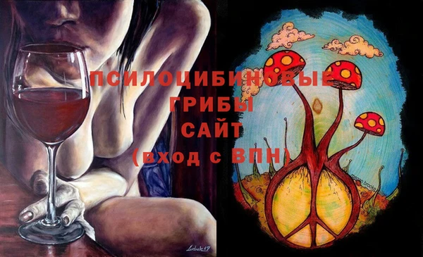 ПСИЛОЦИБИНОВЫЕ ГРИБЫ Осинники