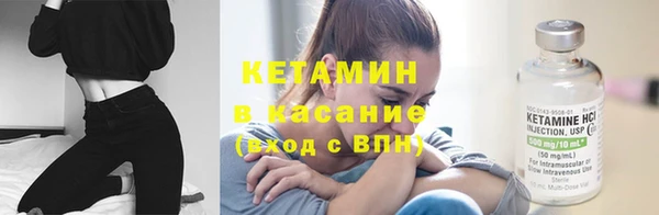 ПСИЛОЦИБИНОВЫЕ ГРИБЫ Осинники