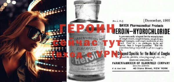 шишки Покачи